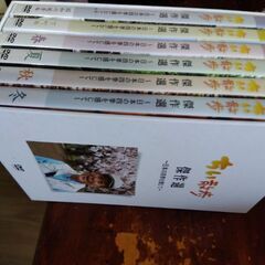 ちい散歩DVD