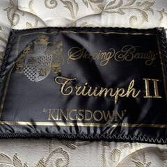 最高級 関家具＆KingsDown シングルベッド、幅98cm Used/キレイの画像