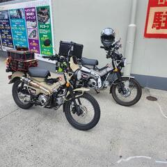 HONDAカブ主　仲間募集