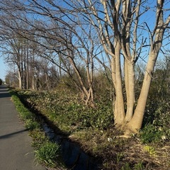 薪無料