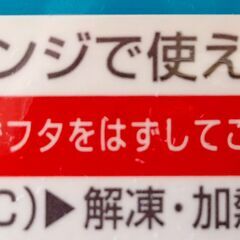 ポケットモンスター 子ども用弁当箱　アドバンスジェネレーション　中古　送料が高いので取りにこれる方限定の画像