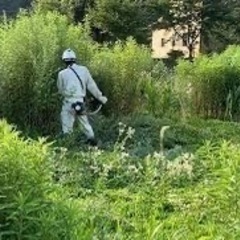 草刈り 伐採  剪定お任せください