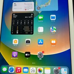 ソフトバンク★Apple iPad (第5世代) シルバー 12...