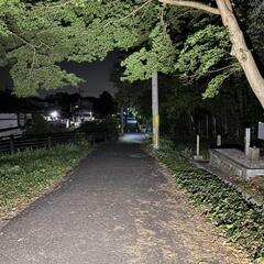 心霊写真、動画を募集します！