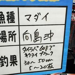 鯛ラバ　、釣り仲間募集