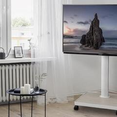 32t ハヤミ工産 テレビスタンド 43V型まで対応 VESA規格対応 キャスター付き ブラック TF-320B
y050201t の画像