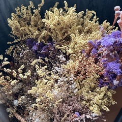 ドライフラワーの画像