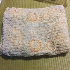 お話中です　タオルケット　日本製