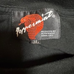ペパーミント長袖Tシャツの画像