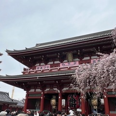 留学生⭐︎外国人旅行者と交流したい方！