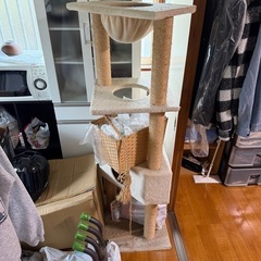 キャットタワー引取り限定