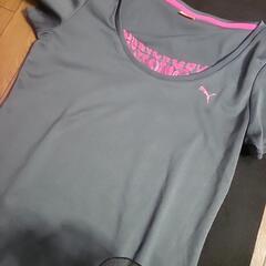 PUMAのテイシャツ　差し上げます