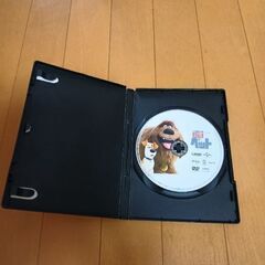 DVD ペット　の画像
