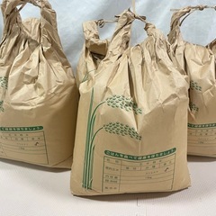 コシヒカリ 玄米 古米 令和5年 50キロ❗️ 10kg 5袋 ...