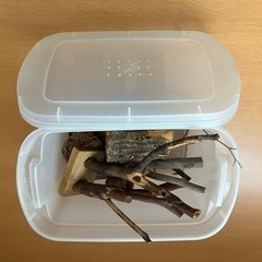 飼育ケース （昆虫&小型爬虫類・両生類）GEXビバフォレストＳの画像
