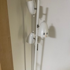 間接照明