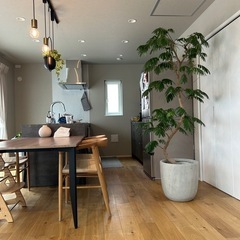 今日だけ2000円お値引き中／エバーフレッシュ