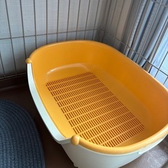 猫トイレ
