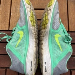 Nike ナイキ スニーカー グレー/ミントグリーン 24.5 usedの画像