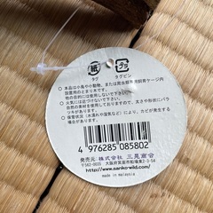爬虫類の画像