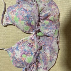 ビキニの画像