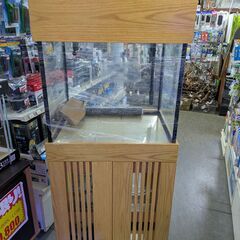 外部フィルター用水槽セット   No.917