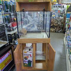 外部フィルター用水槽セット   No.917の画像