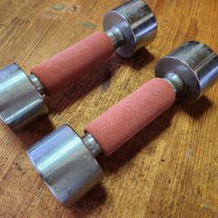 ダンベル　鉄アレイ　2kg×2　鉄製