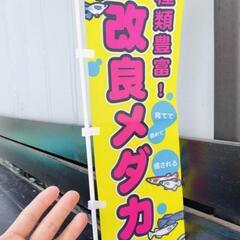 5/2日(金)メダカ出荷しました‼️戸田川緑地公園売店•陽…