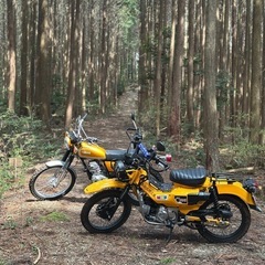 和歌山県　林道好きやチャレンジしてみたい人　125ccクラス近辺...