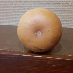 ひょうたん10個セット　の画像