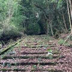 🉐【最終値引】⚠️長崎中心部山林⚠️（格安物件)代理投稿 - 土地販売/土地売買