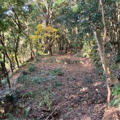 🉐【最終値引】⚠️長崎中心部山林⚠️（格安物件)代理投稿 - 長崎市