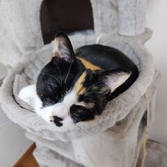 同性（女性）のお悩みに寄り添いたい
