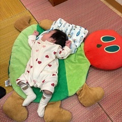 旦那の転勤で、館山市に引っ越して5年目。