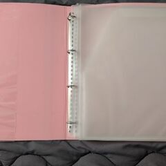 300円　未使用　キングジム　おたよりファイルの画像