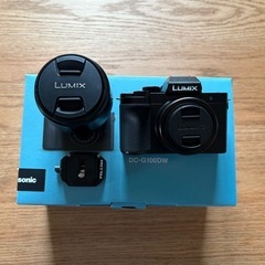 LUMIX G100DW ダブルズームレンズキット