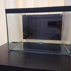 水槽2個セット　メダカ　金魚.　熱帯魚　アクアリウム