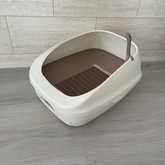 猫　トイレ