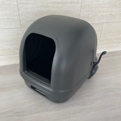 猫　トイレ