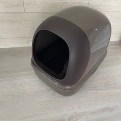 猫　トイレ