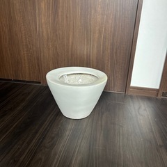 観葉植物　鉢

