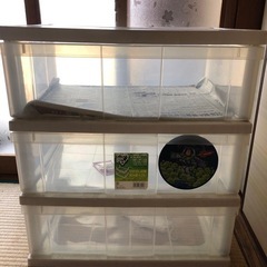 衣装ケース