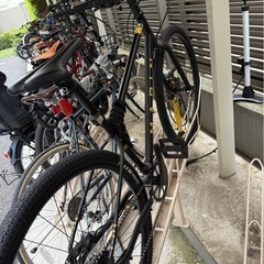 専用
