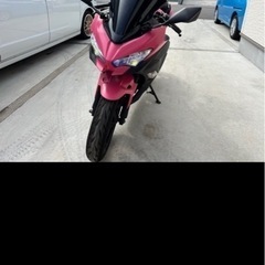 もうもう様用NINJA 250　