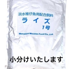 メダカ　金魚　熱帯魚　針子　稚魚なりかけ　ライズ1号粉エサ　小分...