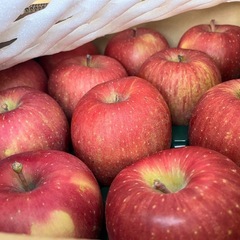 美味しい🍎サンふじ入荷しました！✨