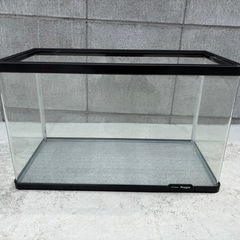 60㎝水槽セット