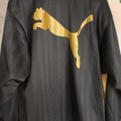 PUMAジャージの画像