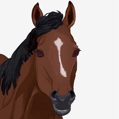 一緒に馬を見に行ける方募集してます。